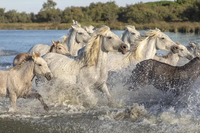 Les 10 Meilleures Destinations Écotourisme à Explorer