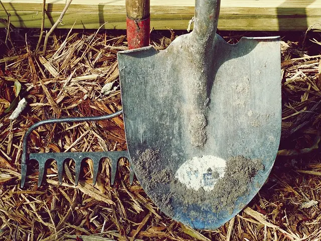 10 Astuces Essentielles pour Économiser de l'Eau au Jardin