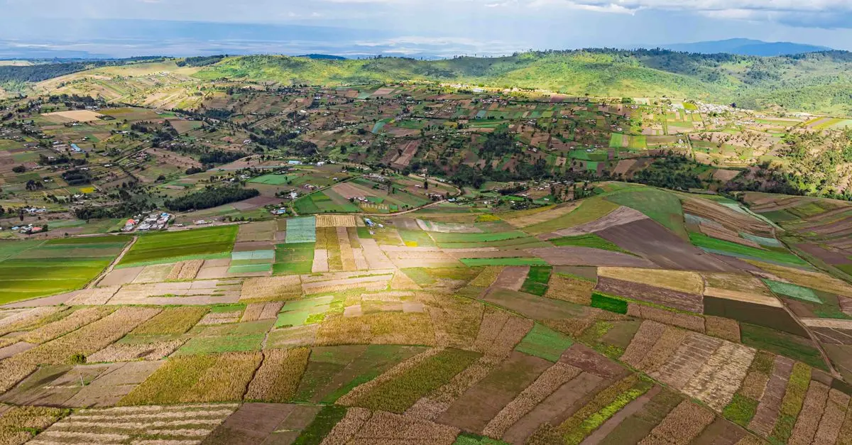 Comment bien choisir vos outils de ferme pour chaque culture
