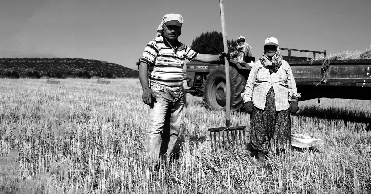 Comment choisir les outils de ferme adaptés à votre exploitation