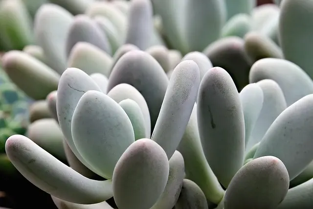 5 Astuces Incontournables pour Des Relaxations Rapides Efficaces