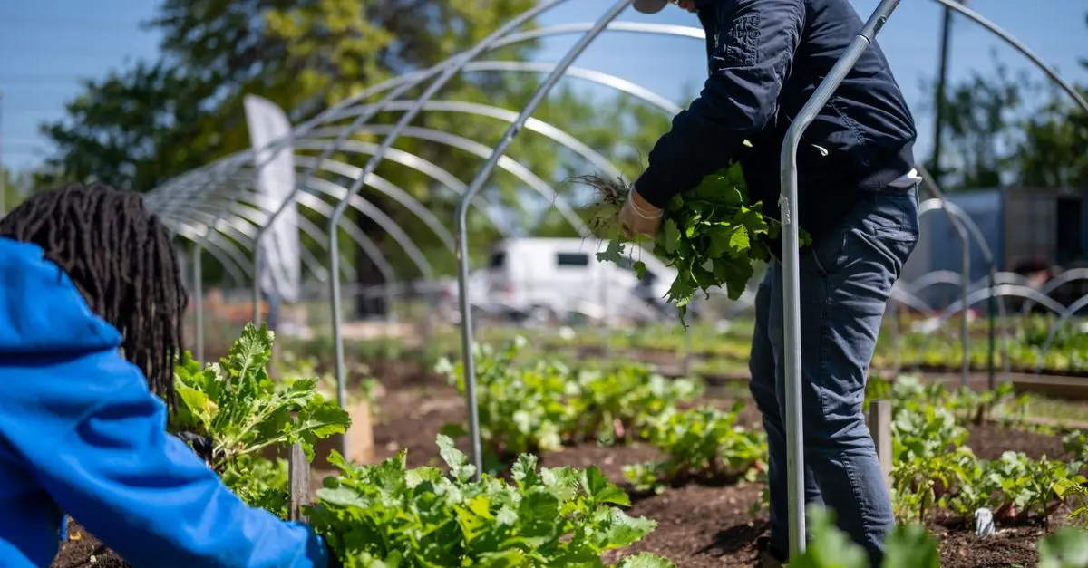 Comment l'innovation sociale influence l'avenir écologique