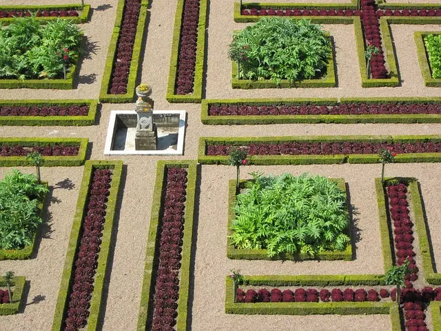 Comment combiner différentes plantes médicinales efficacement