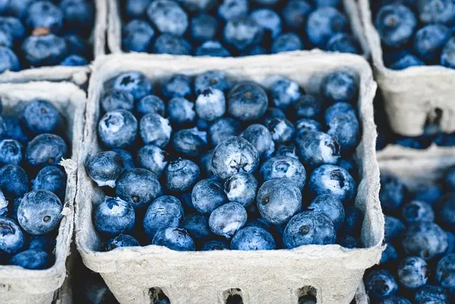 Comment Évaluer la Qualité de vos Légumes dans le Panier