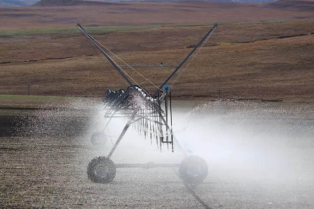 Les avantages d'un système d'irrigation automatisé pour votre jardin