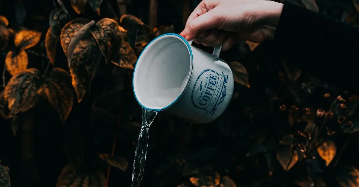 Guide d'achat des accessoires pour impression de tasses personnalisées