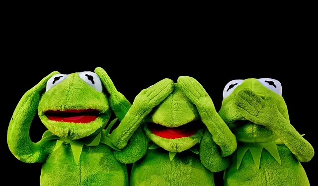 Les étapes essentielles de la naissance à la première année