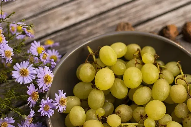 Les secrets des masques en tissu coréens pour une peau parfaite