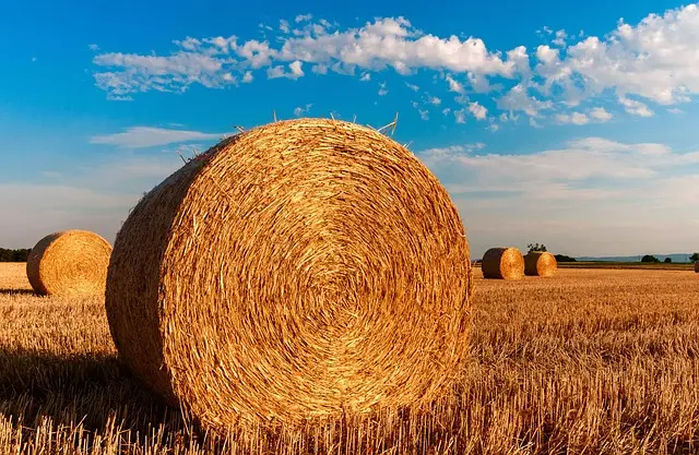 Les meilleures remorques agricoles pour le transport de foin