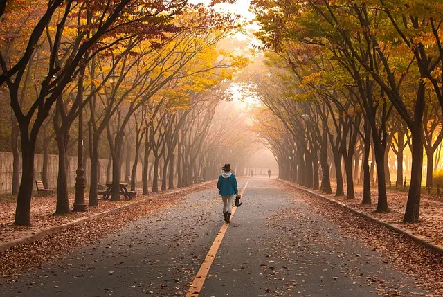 How to Effectively Incorporate Walking into Your Fitness Routine