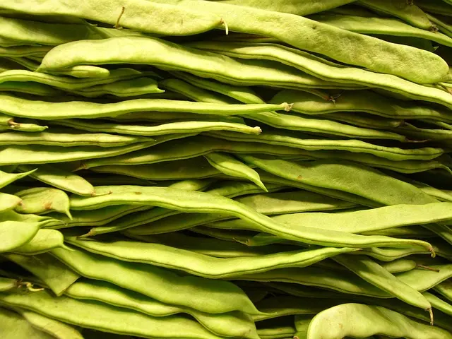 Guide Pratique pour Maximiser la Récolte de Vos Légumes