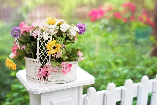 10 Plantes Parfaites pour Embellir Votre Jardin en Été