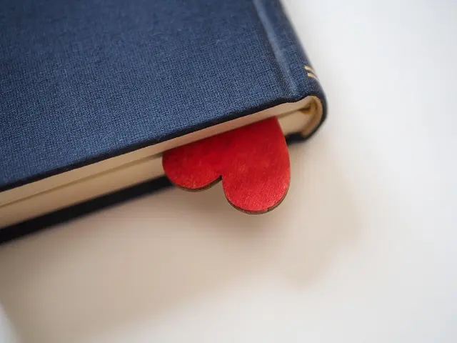Cómo elegir el mejor dispositivo wearable para tu estilo de vida