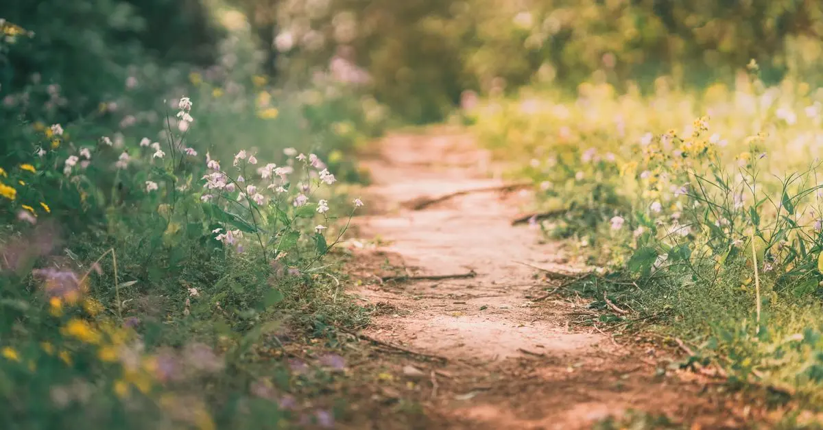 10 Effective Tips to Enhance Your Walking Routine for Fitness