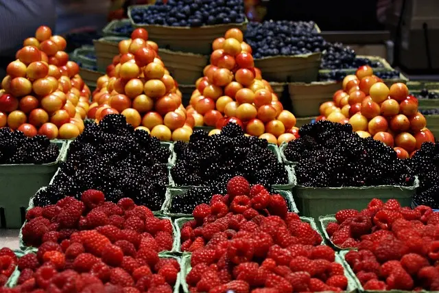Les aliments de saison : pourquoi choisir bio ?