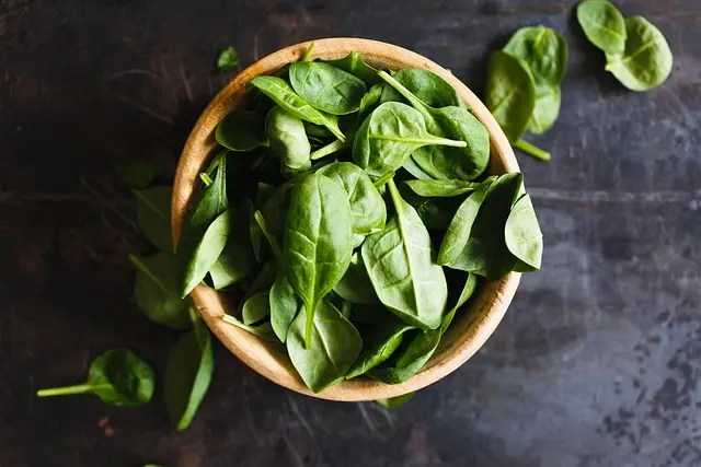Les 10 Bienfaits Surprenants de l'Ayurveda sur Votre Énergie