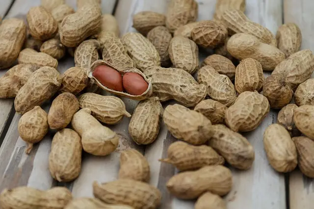 Comment établir un plan d'alimentation saine et équilibré