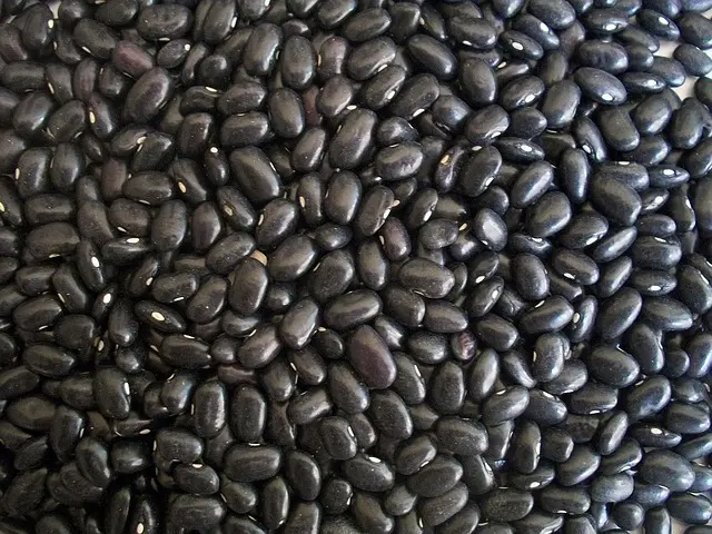 How to Build a Sustainable Vegan Pantry: Essential Ingredients