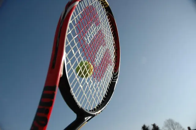 Comment Évaluer le Style de Jeu des Étoiles du Tennis