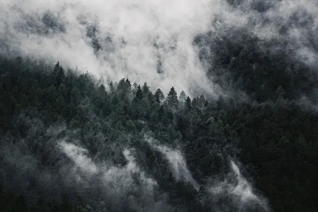 Explorer des Terrains Hostiles : Du Camping à la Survie