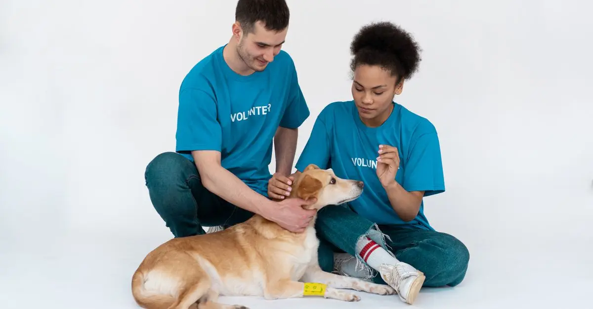 Top 10 Benefits of Adopting a Pet for Your Family