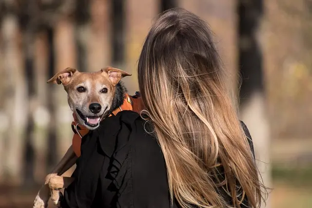 Understanding the Benefits of a Pet-Friendly Network