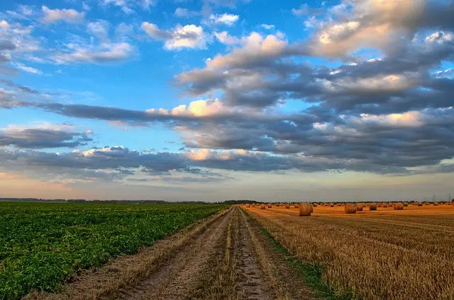 Les 5 meilleures remorques agricoles pour le transport de foin