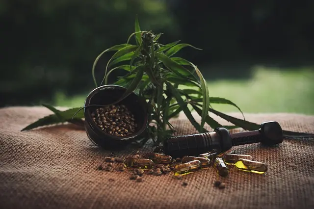 Comment choisir son huile de CBD : guide pratique
