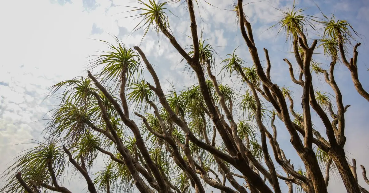 10 escales inattendues pour un voyage inoubliable