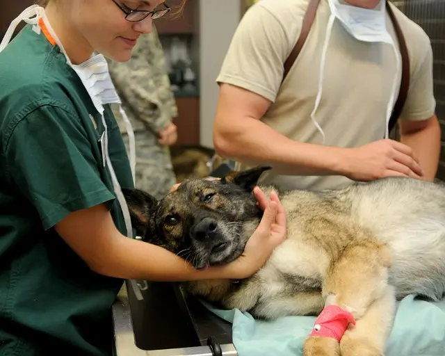 Understanding the Unique Needs of Different Animal Breeds