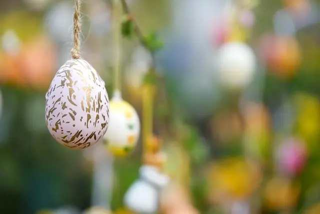 How to Identify the Best Seasonal Activities with Activity Finder Pro