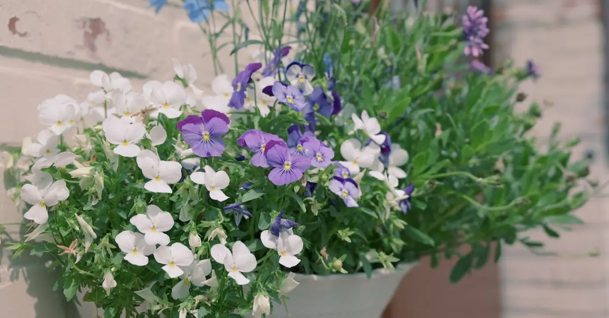 10 Progetti Fai Da Te per Rinnovare il Tuo Giardino
