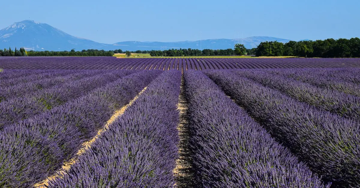 Itinéraires Insolites en France : Des Trésors Cachés à Explorer