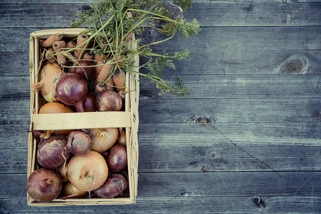 Coltivare Piante per il Giardino Sostenibile: 10 Consigli Utili
