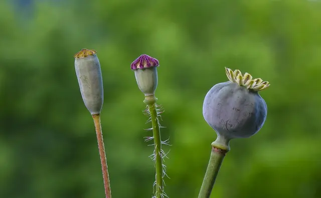 Comment créer une capsule temporelle pour vos souvenirs