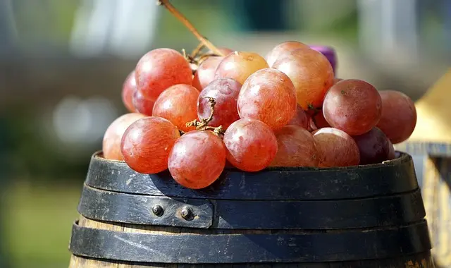 Les Erreurs Courantes à Éviter dans Votre Panier de Fruits