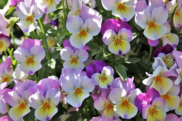 7 Astuces Pour Cultiver Un Jardin Écologique Réussi