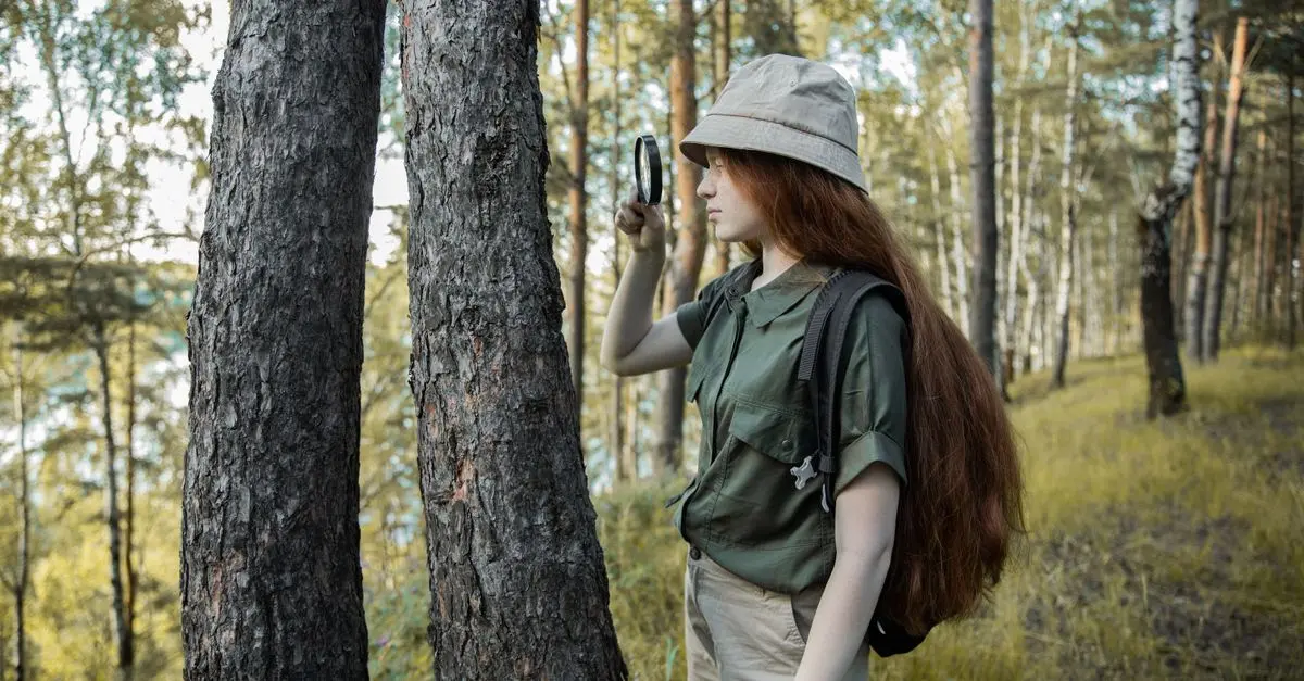 Guided Nature Tours: Worth the Investment?