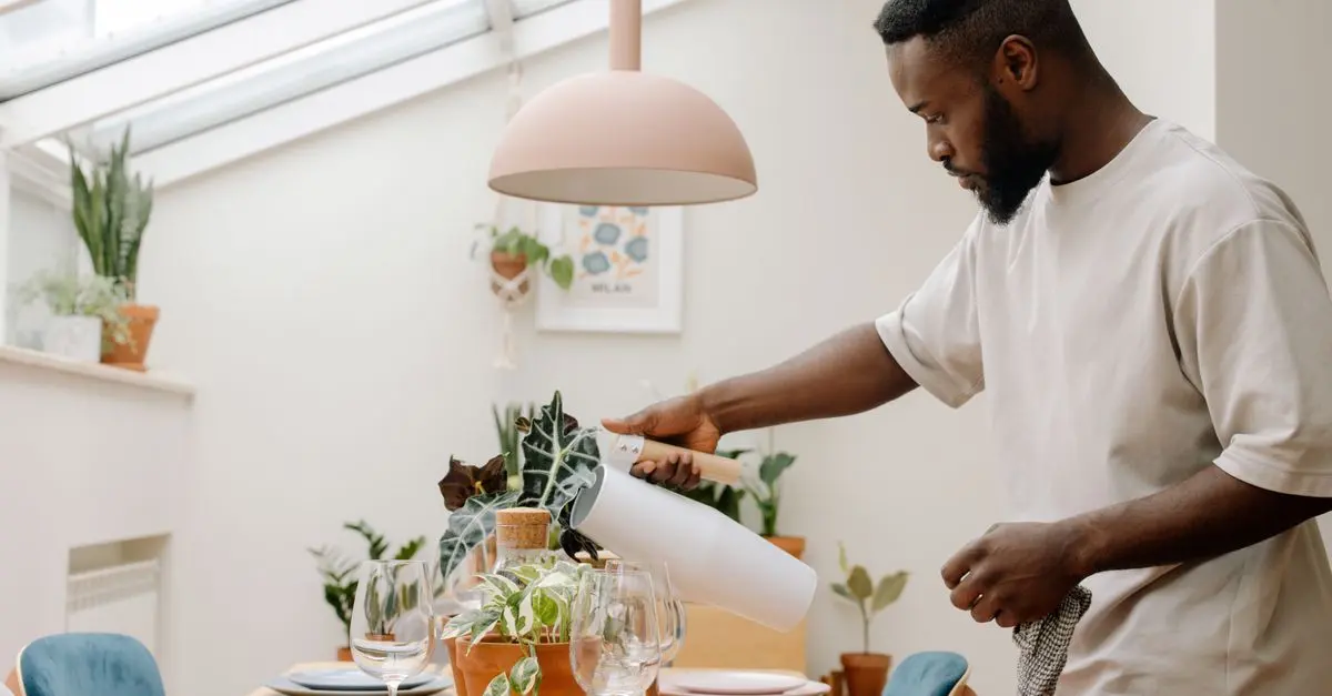 Comment choisir un humidificateur d'air pour améliorer votre santé