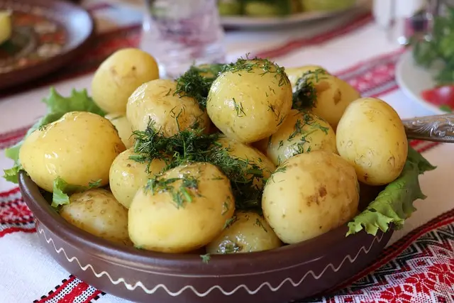 5 Recettes de Poisson à Cuisiner en Moins de 30 Minutes