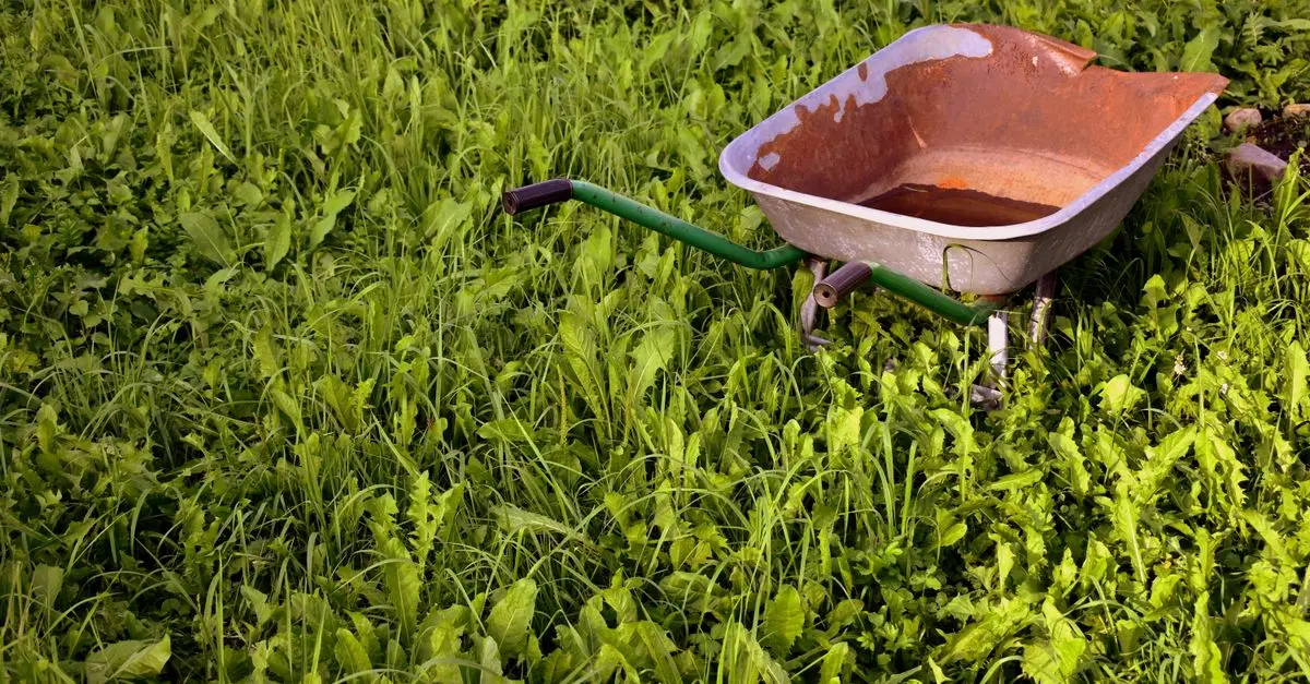 Les outils indispensables pour l'agriculture biologique