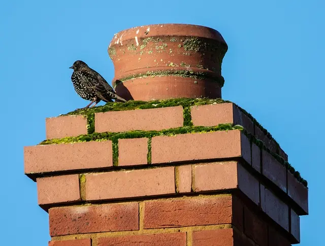 Comment évaluer le rendement de votre installation solaire