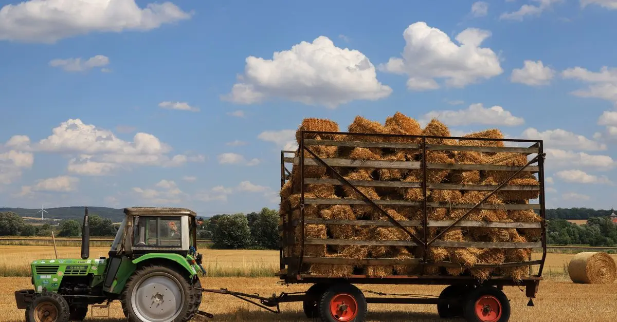 Les meilleures remorques agricoles pour une utilisation efficace