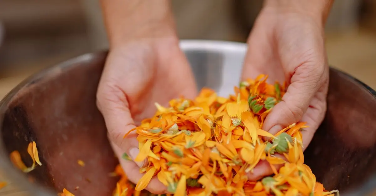 Meilleur équipement de récolte de fleurs comestibles