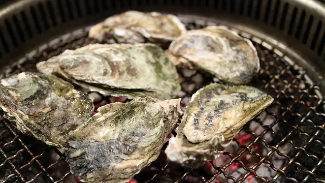 Les Fruits de Mer Indispensables à Déguster : Notre Top 10