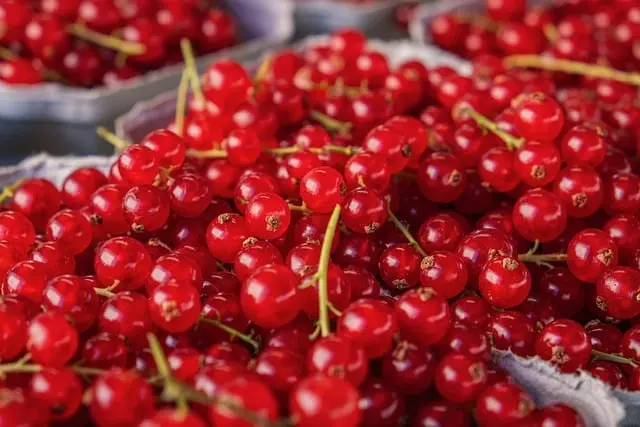Les fruits de saison à privilégier en mars : bienfaits et astuces