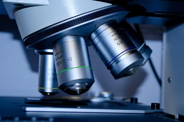 Essential Stock Market Research Tools Guide
