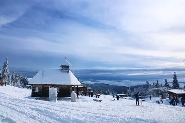 Comment choisir le bon matériel pour le ski adapté PMR