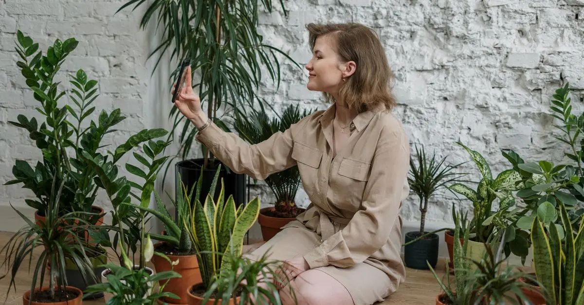 10 Plantes d'Intérieur Parfaites pour Élever votre Jardin
