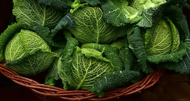 Comment Créer un Panier de Légumes Idéal en 5 Étapes